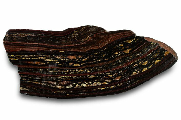 Polished Tiger Iron Stromatolite Slab - Billion Years #319360